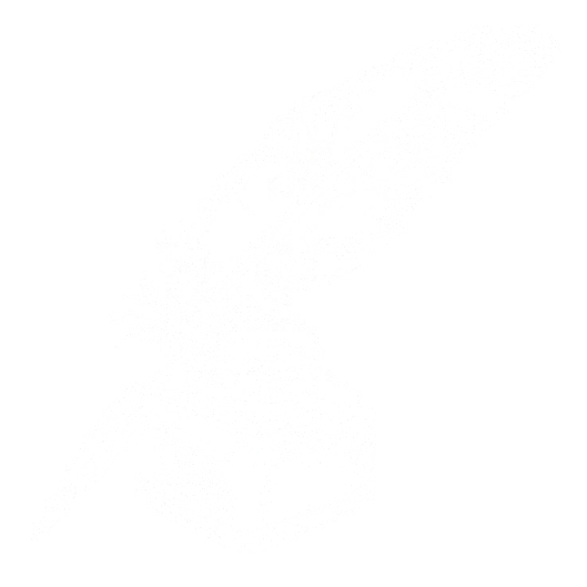 魔法羽毛笔